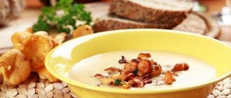 chanterelle soup recipes