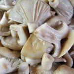 Boiled mushrooms