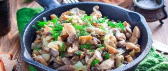 oyster mushrooms fried with onions in a frying pan