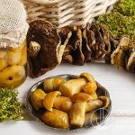 Mushroom preparations are in constant demand and help diversify the winter menu