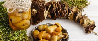 Mushroom preparations are in constant demand and help diversify the winter menu