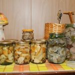 засолка грибов на зиму – 5 рецептов приготовления горячим и холодным способом