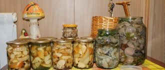 pickling mushrooms for the winter - 5 hot and cold recipes