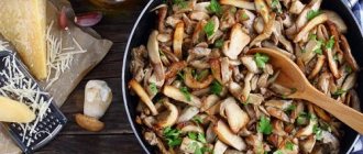fried porcini mushrooms -min