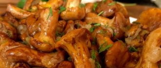 Fried chanterelle mushrooms with garlic in butter