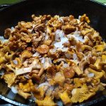 Fried chanterelles with potatoes. Recipes on how to cook mushrooms step by step with photos 