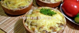 Julienne with mushrooms: classic recipes
